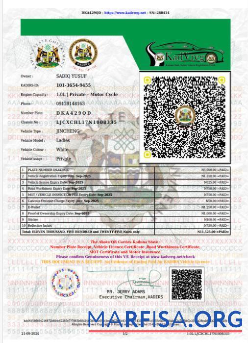 Realistic Nigeria Kaduna state vehicle license sample
